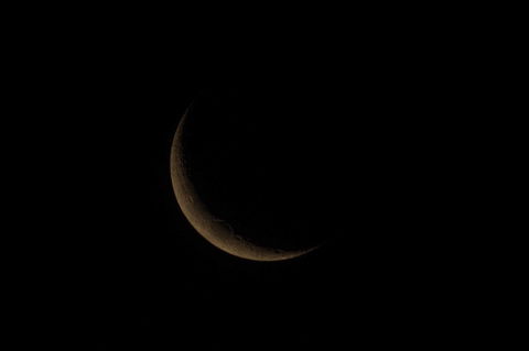 Celestine Retreat - Accommodation Newcastle 17