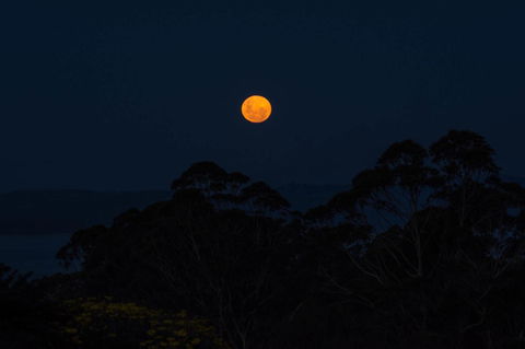 Celestine Retreat - Accommodation Newcastle 11