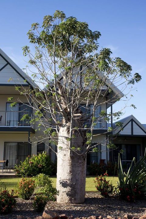 Freshwater East Kimberley Apartments - Accommodation Newcastle 18