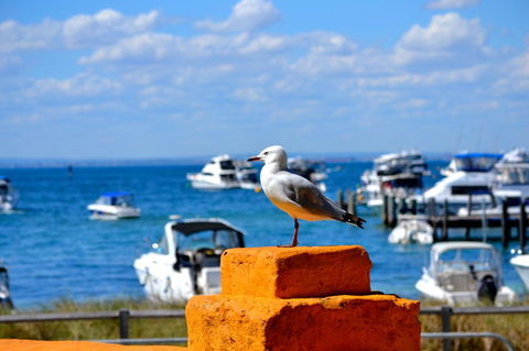 Palms Bed & Breakfast - Accommodation Newcastle 25