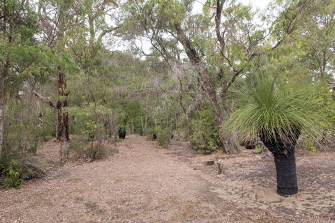 53 Martina Drive - Accommodation Newcastle 30