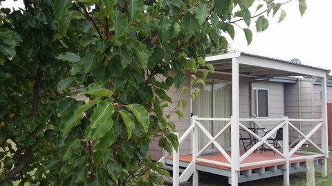 Chalets On Frenchman - Accommodation Newcastle 13
