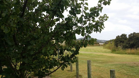 Chalets On Frenchman - Accommodation Newcastle 14