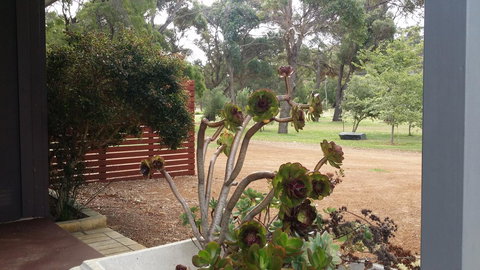 Chalets On Frenchman - Accommodation Newcastle 15