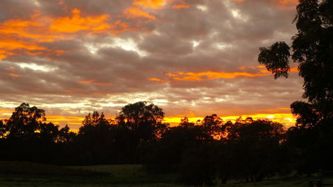 Windfall Estate Vineyard Cottage - Accommodation Newcastle 32