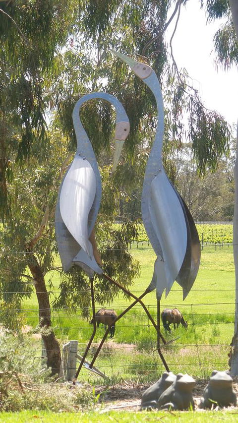 Windfall Estate Vineyard Cottage - Accommodation Newcastle 31