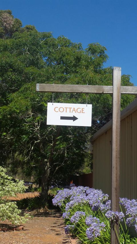 Windfall Estate Vineyard Cottage - Accommodation Newcastle 14