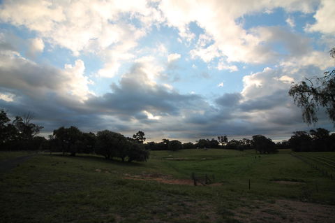 Windfall Estate Vineyard Cottage - Accommodation Newcastle 33