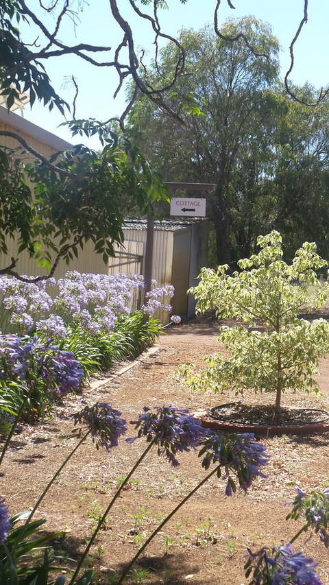 Windfall Estate Vineyard Cottage - Accommodation Newcastle 13