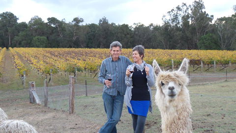 Windfall Estate Vineyard Cottage - Accommodation Newcastle 11