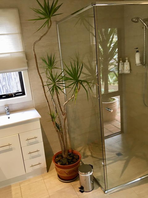 DESIGNER'S STUDIO - Accommodation Newcastle 11