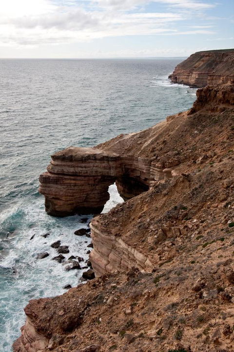Kalbarri Palm Resort - Accommodation Newcastle 32