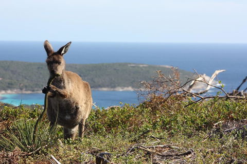 Bremer Bay B&B - Accommodation Newcastle 30