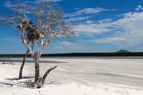 Bremer Bay B&B - Accommodation Newcastle 33