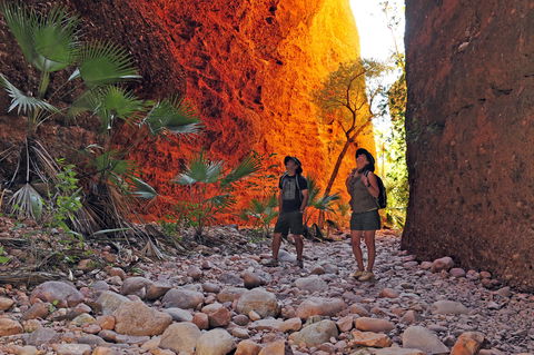 Bungle Bungle Wilderness Lodge - Accommodation Newcastle 13