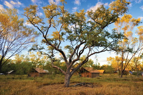 Bungle Bungle Wilderness Lodge - Accommodation Newcastle 11