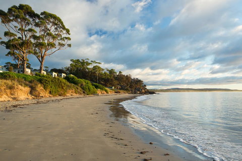 Swansea Beach Chalets - Accommodation Newcastle 44