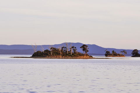 Smugglers Rest Apartments Dover - Accommodation Newcastle 5