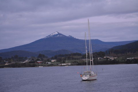 Smugglers Rest Apartments Dover - Accommodation Newcastle 2