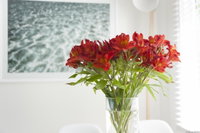 Book Kingston Beach Accommodation Vacations Accommodation Newcastle Accommodation Newcastle