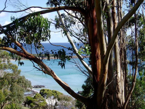 Seascape Beach House - Accommodation Newcastle 8