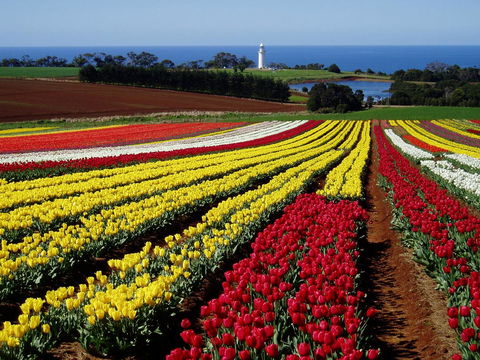 Seascape Beach House - Accommodation Newcastle 27