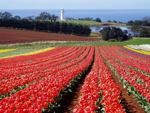 Seascape Beach House - Accommodation Newcastle 26