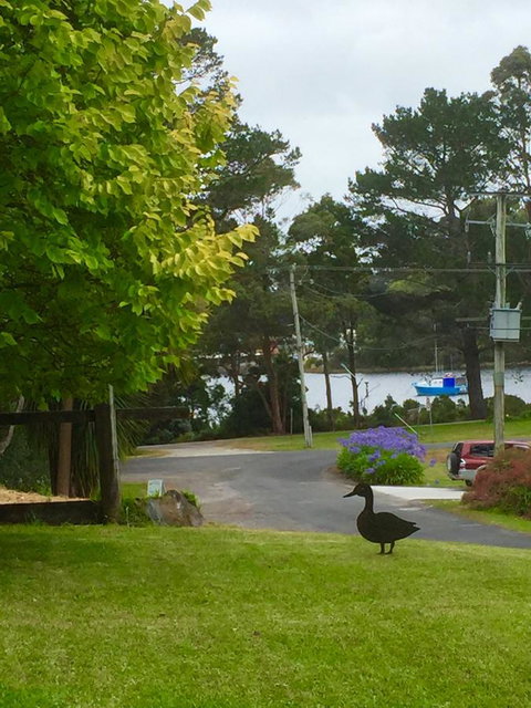 Wandering Geese Boutique Bed And Breakfast - Accommodation Newcastle 15