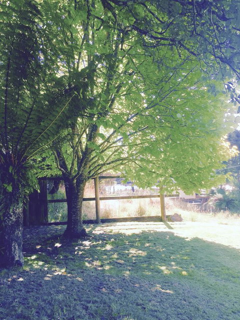 Wandering Geese Boutique Bed And Breakfast - Accommodation Newcastle 30