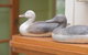 Wandering Geese Boutique Bed And Breakfast - thumb 20