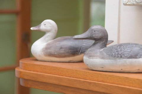 Wandering Geese Boutique Bed And Breakfast - Accommodation Newcastle 20