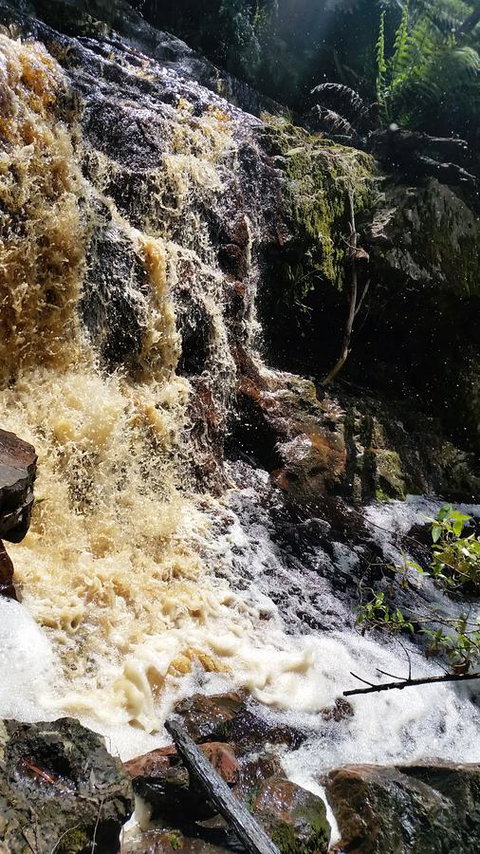 Grace Cottage - Accommodation Newcastle 43