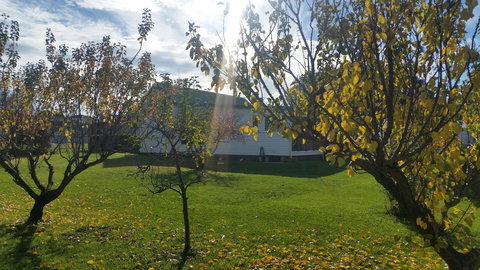 Grace Cottage - Accommodation Newcastle 10