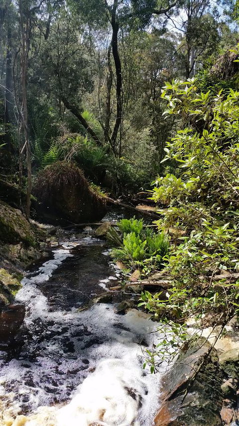 Grace Cottage - Accommodation Newcastle 44