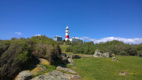 BIG4 Low Head Tourist Park - Accommodation Newcastle 6