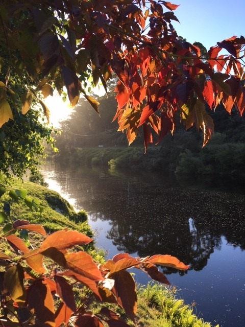 Forth River Cottage - Accommodation Newcastle 4