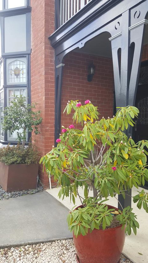 Insomnia On Elizabeth - Accommodation Newcastle 35