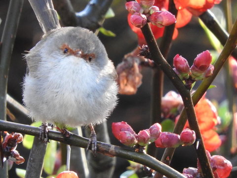 Tamar House - Accommodation Newcastle 17