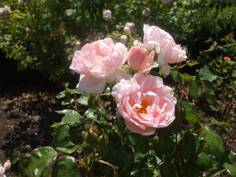 The WeareHouse In Deloraine - Accommodation Newcastle 39