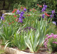 Karoola Cottage Self Contained - Accommodation Newcastle