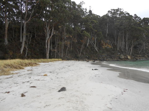 Bruny Ocean Cottage - Accommodation Newcastle 12