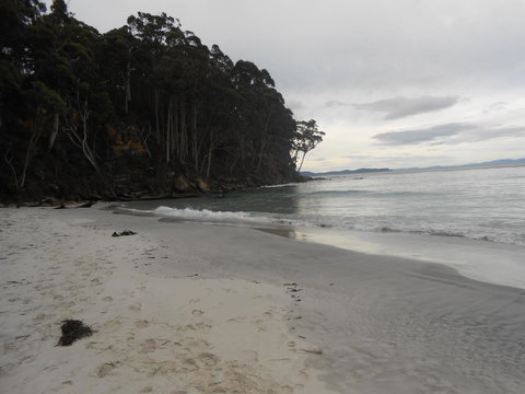 Bruny Ocean Cottage - Accommodation Newcastle 17