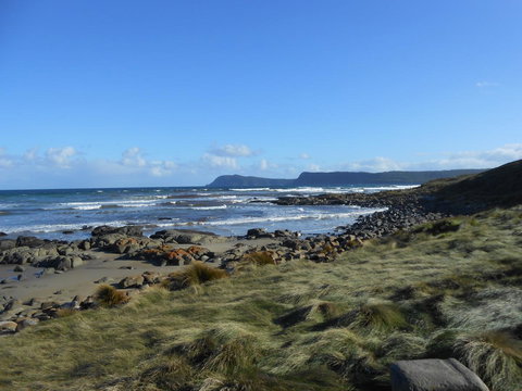 Bruny Ocean Cottage - Accommodation Newcastle 15