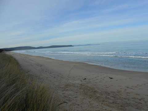 Bruny Ocean Cottage - Accommodation Newcastle 16