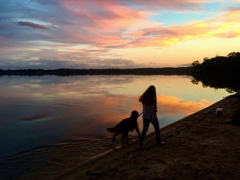 Noosa Lake House - Accommodation Newcastle 3