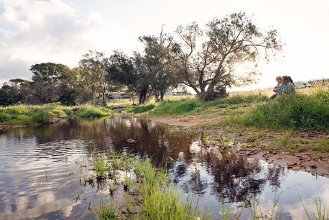 Northbrook Farmstay - Accommodation Newcastle 0