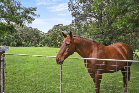 NUNGAROO COTTAGE - Accommodation Newcastle 3