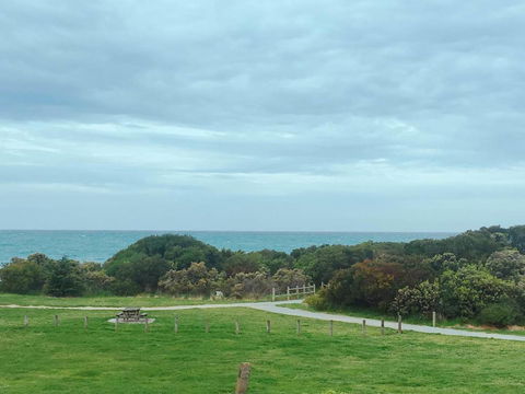 ODYSSEY APOLLO BAY - Accommodation Newcastle 2