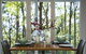 Olinda Forest Retreat With Spa - thumb 3