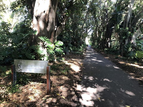 One Bedroom Cottage Close To Adelaide CBD - Accommodation Newcastle 3